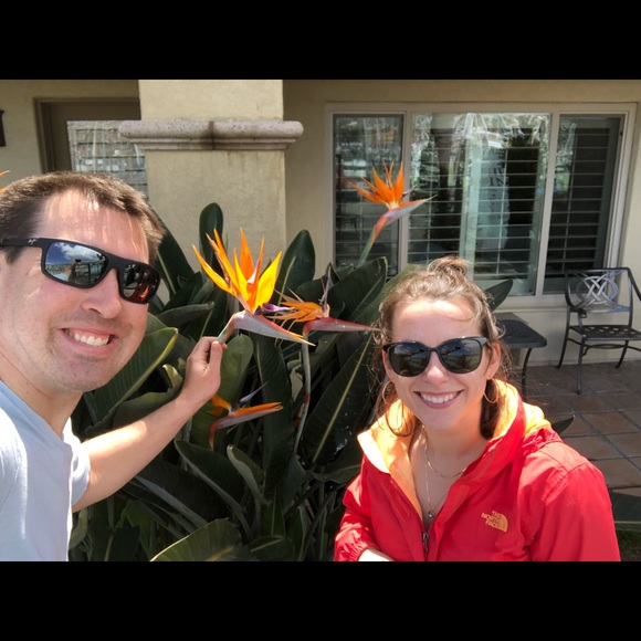 Meet your Posher, Hallie - Picture 1 of 1